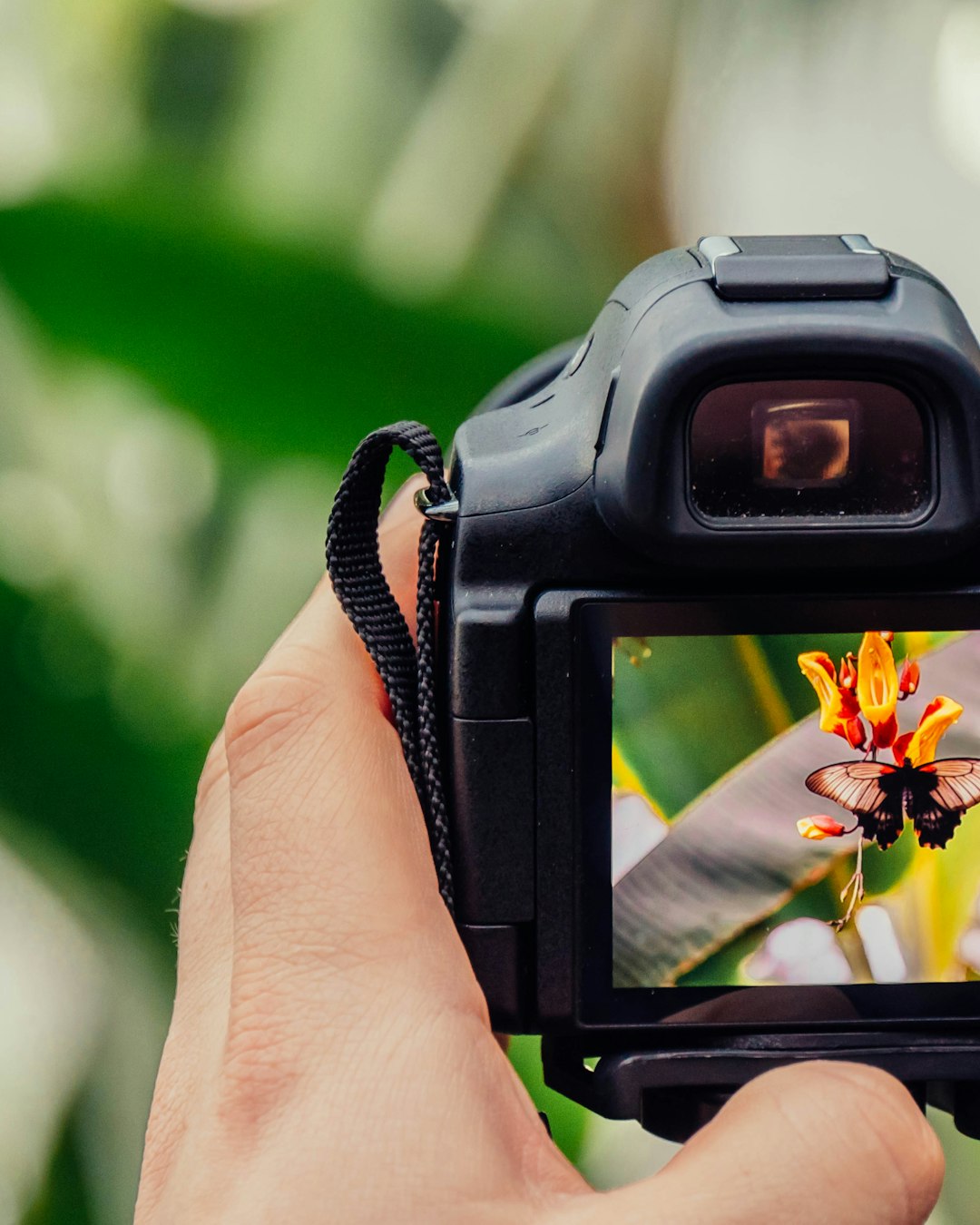 Camera in hand reviewing a photo on the LCD screen, outdoors with greenery in the background